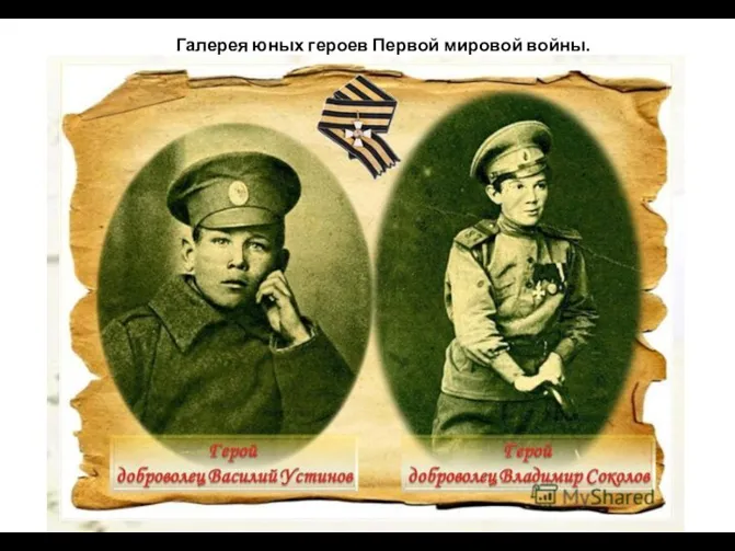 Галерея юных героев Первой мировой войны.
