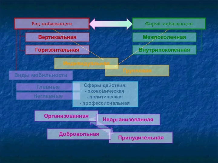 Форма мобильности Межпоколенная Горизонтальная Вертикальная Внутрипоколенная Групповая Индивидуальная Неглавные Главные