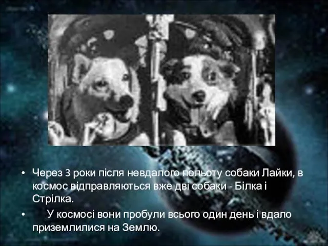 Через 3 роки після невдалого польоту собаки Лайки, в космос