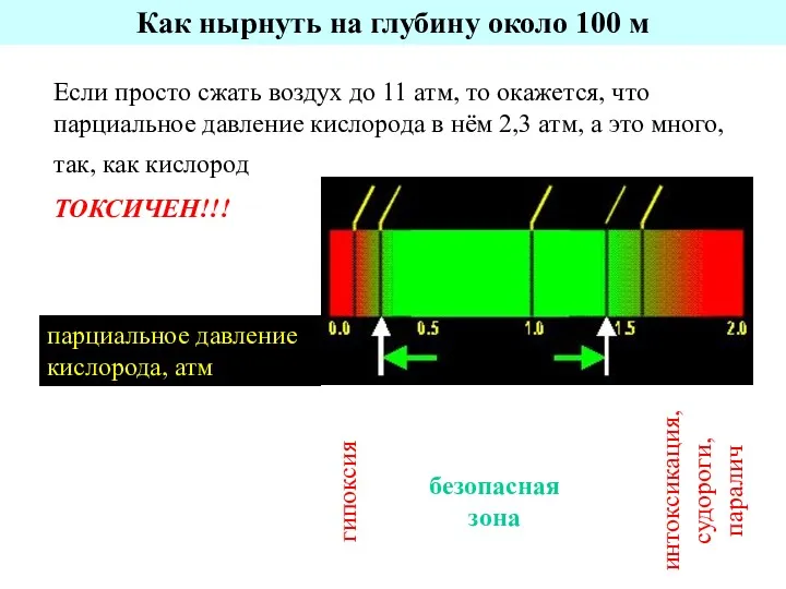 Как нырнуть на глубину около 100 м Если просто сжать