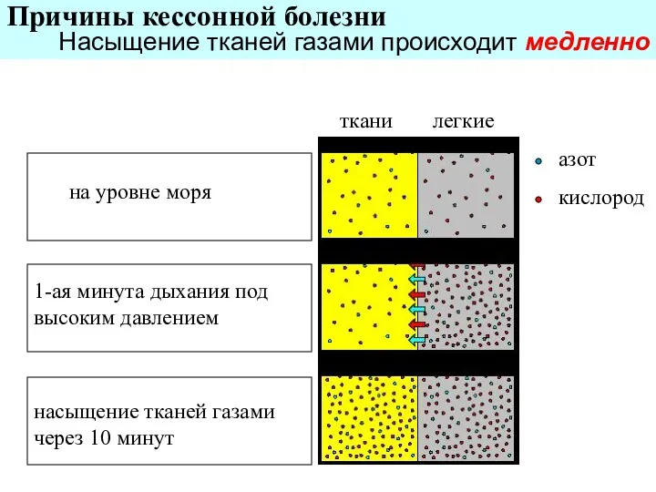 на уровне моря 1-ая минута дыхания под высоким давлением насыщение