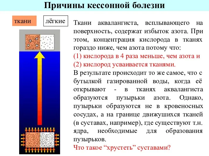 Ткани аквалангиста, всплывающего на поверхность, содержат избыток азота. При этом,