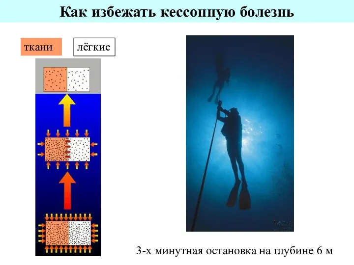 Как избежать кессонную болезнь