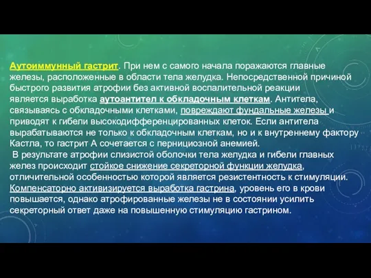 Аутоиммунный гастрит. При нем с самого начала поражаются главные железы,