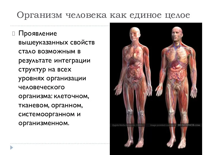 Проявление вышеуказанных свойств стало возможным в результате интеграции структур на