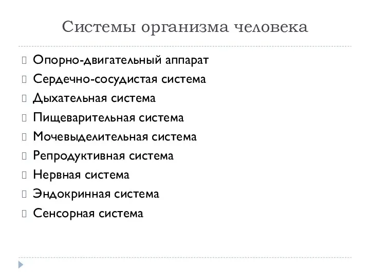 Системы организма человека Опорно-двигательный аппарат Сердечно-сосудистая система Дыхательная система Пищеварительная