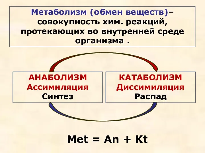 Метаболизм (обмен веществ)– совокупность хим. реакций, протекающих во внутренней среде