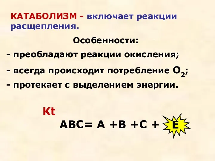 КАТАБОЛИЗМ - включает реакции расщепления. Особенности: преобладают реакции окисления; всегда