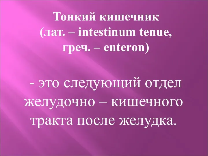 - это следующий отдел желудочно – кишечного тракта после желудка.