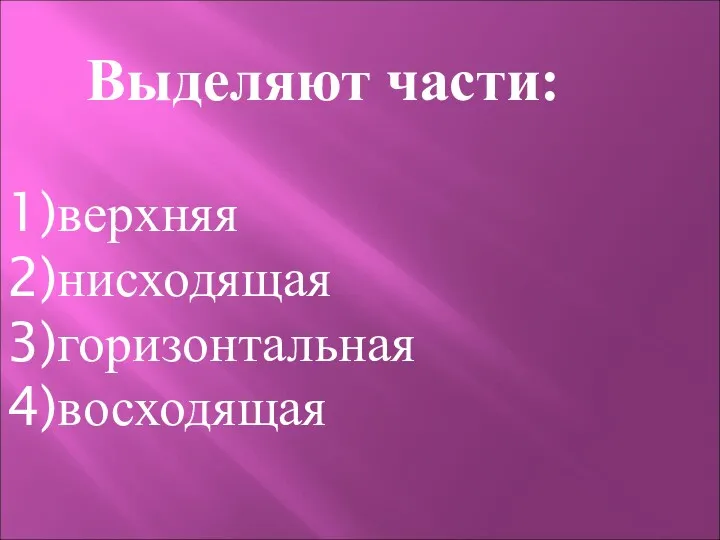 Выделяют части: верхняя нисходящая горизонтальная восходящая