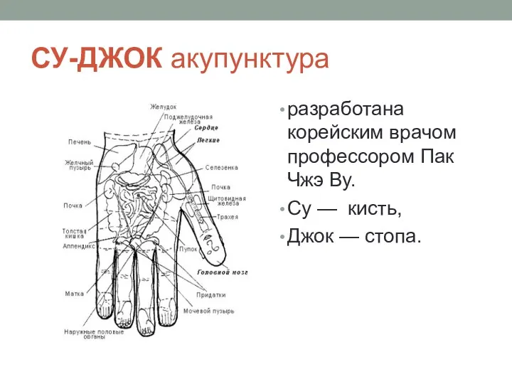 СУ-ДЖОК акупунктура разработана корейским врачом профессором Пак Чжэ Ву. Су — кисть, Джок — стопа.