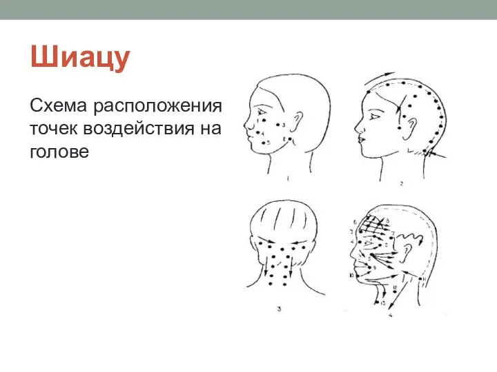 Шиацу Схема расположения точек воздействия на голове