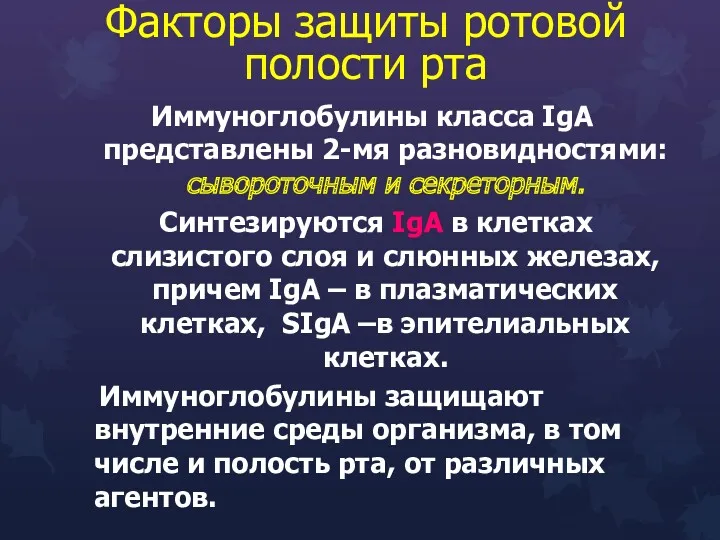 Факторы защиты ротовой полости рта Иммуноглобулины класса IgА представлены 2-мя