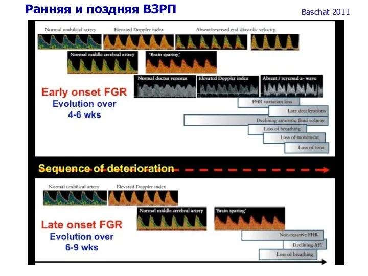 Ранняя и поздняя ВЗРП Baschat 2011