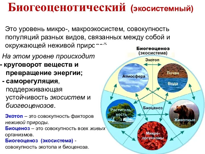 Это уровень микро-, макроэкосистем, совокупность популяций разных видов, связанных между собой и окружающей