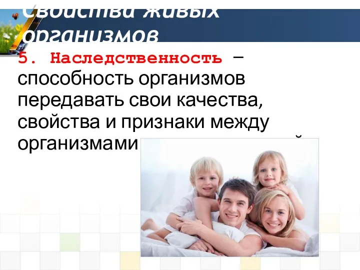 5. Наследственность – способность организмов передавать свои качества, свойства и