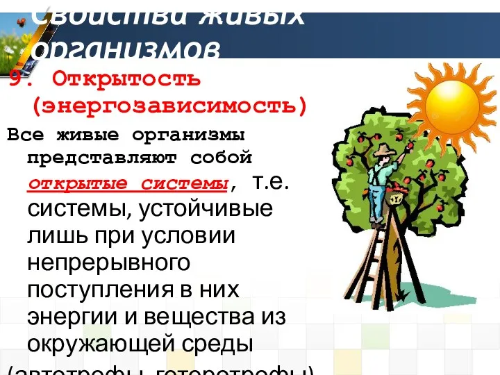 Свойства живых организмов 9. Открытость (энергозависимость) Все живые организмы представляют