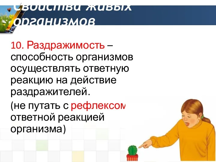 10. Раздражимость – способность организмов осуществлять ответную реакцию на действие