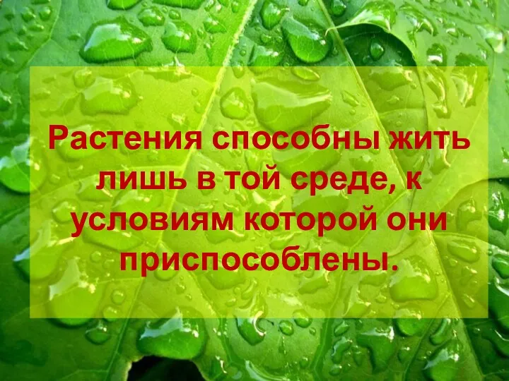 Растения способны жить лишь в той среде, к условиям которой они приспособлены.