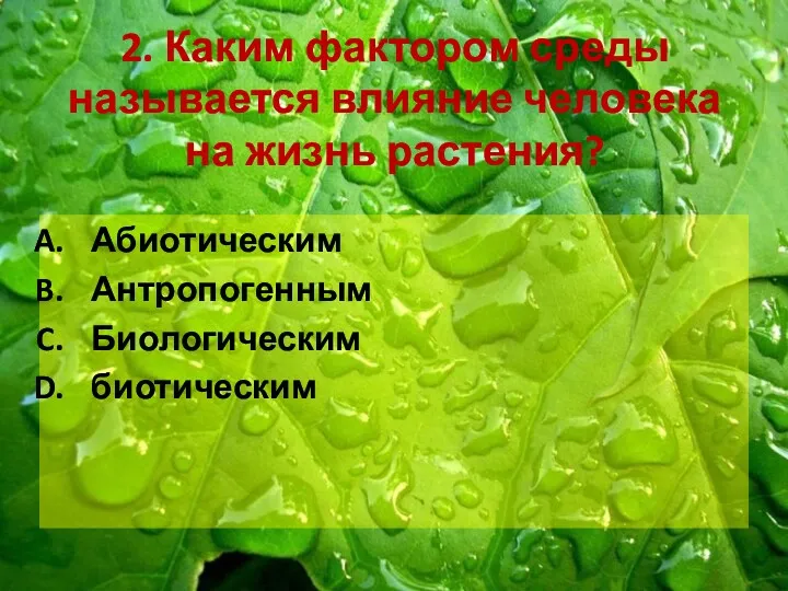 2. Каким фактором среды называется влияние человека на жизнь растения? Абиотическим Антропогенным Биологическим биотическим