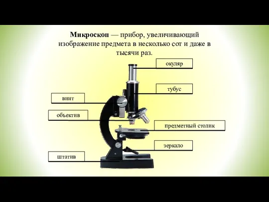Микроскоп — прибор, увеличивающий изображение предмета в несколько сот и даже в тысячи раз.