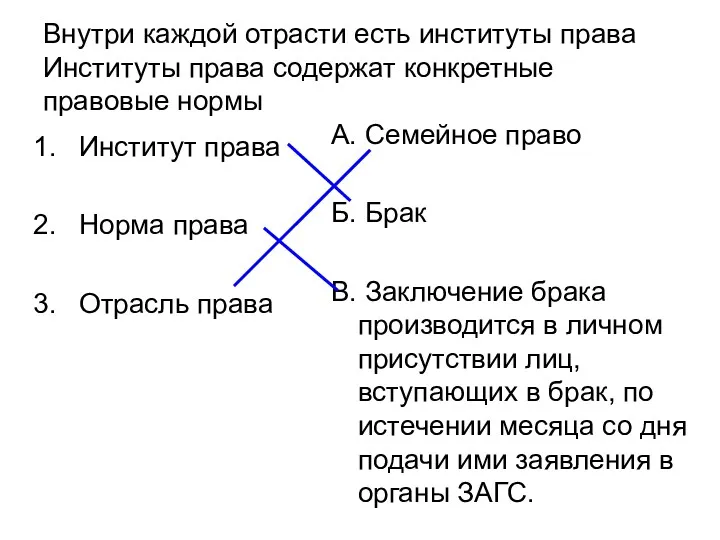 Внутри каждой отрасти есть институты права Институты права содержат конкретные