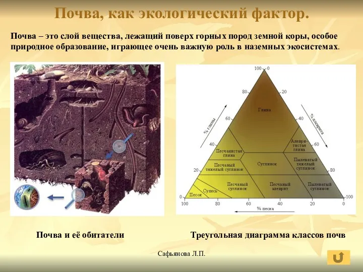 Сафьянова Л.П. Почва, как экологический фактор. Почва – это слой вещества, лежащий поверх