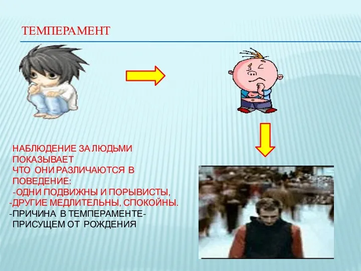 ТЕМПЕРАМЕНТ НАБЛЮДЕНИЕ ЗА ЛЮДЬМИ ПОКАЗЫВАЕТ ЧТО ОНИ РАЗЛИЧАЮТСЯ В ПОВЕДЕНИЕ: