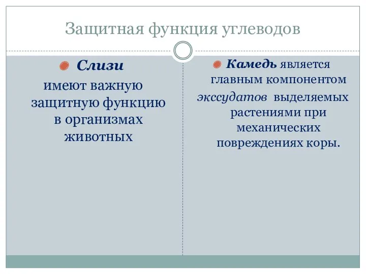 Защитная функция углеводов Слизи имеют важную защитную функцию в организмах