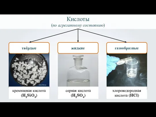 Кислоты (по агрегатному состоянию) твёрдые кремниевая кислота (H2SiO3) Майя Пчёлка