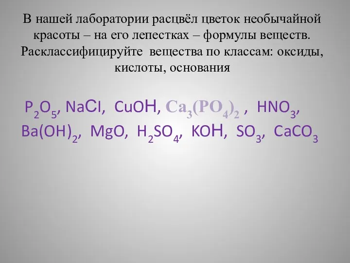 В нашей лаборатории расцвёл цветок необычайной красоты – на его