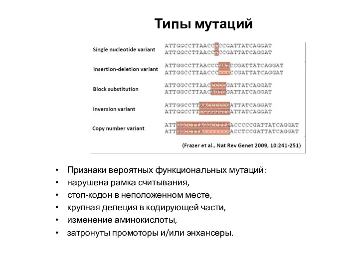 Типы мутаций Признаки вероятных функциональных мутаций: нарушена рамка считывания, стоп-кодон