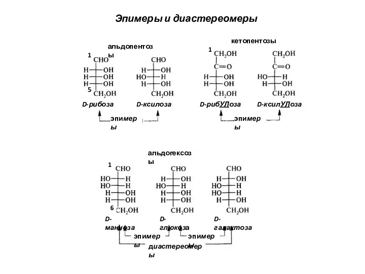 D-глюкоза D-галактоза D-манноза диастереомеры эпимеры эпимеры эпимеры эпимеры альдогексозы альдопентозы