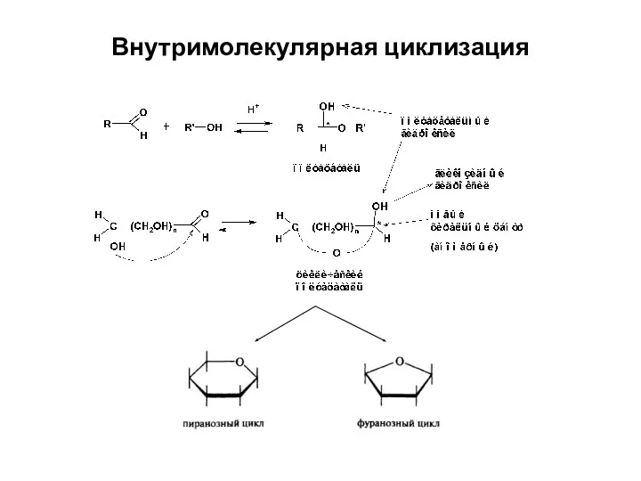 Внутримолекулярная циклизация