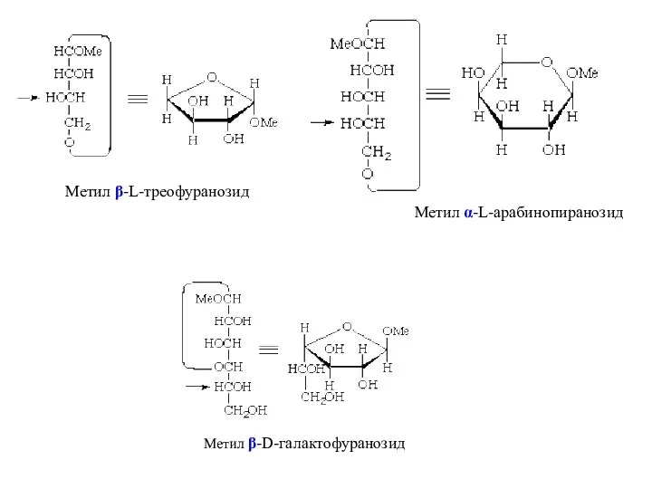 Метил α-L-арабинопиранозид Метил β-L-треофуранозид Метил β-D-галактофуранозид