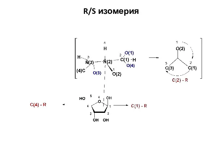 R/S изомерия