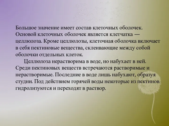 Большое значение имеет состав клеточных оболочек. Основой клеточных оболочек является