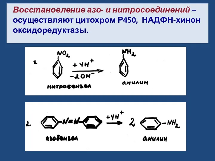 Восстановление азо- и нитросоединений – осуществляют цитохром Р450, НАДФН-хинон оксидоредуктазы.