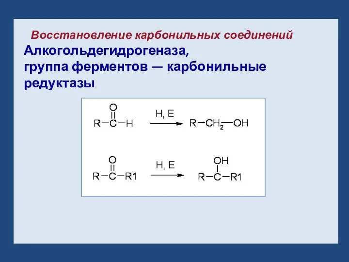 Восстановление карбонильных соединений Алкогольдегидрогеназа, группа ферментов — карбонильные редуктазы