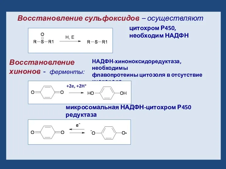 Восстановление сульфоксидов – осуществляют цитохром Р450, необходим НАДФН Восстановление хинонов - ферменты: НАДФН-хиноноксидоредуктаза,