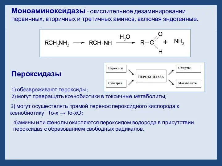 Пероксидазы 1) обезвреживают пероксиды; 2) могут превращать ксенобиотики в токсичные метаболиты; 3) могут
