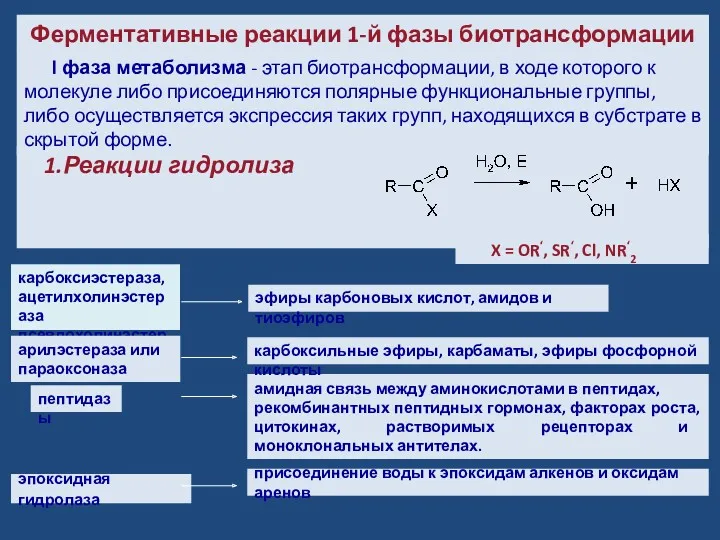 Ферментативные реакции 1-й фазы биотрансформации карбоксиэстераза, ацетилхолинэстераза псевдохолинэстераза эпоксидная гидролаза l фаза метаболизма