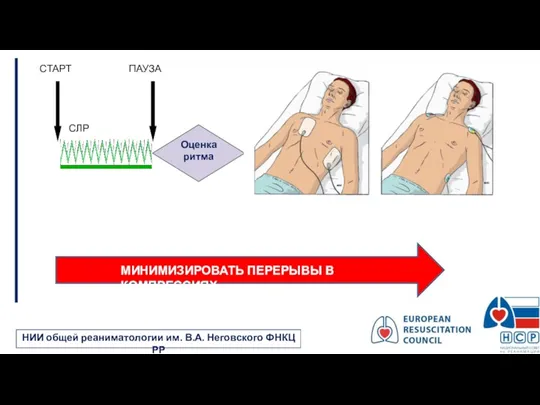 НИИ общей реаниматологии им. В.А. Неговского ФНКЦ РР