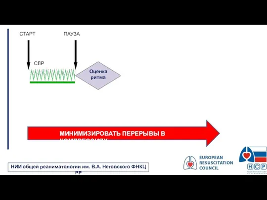 НИИ общей реаниматологии им. В.А. Неговского ФНКЦ РР