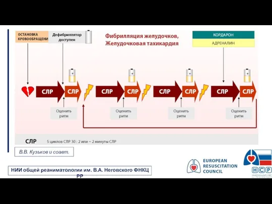 В.В. Кузьков и соавт. НИИ общей реаниматологии им. В.А. Неговского ФНКЦ РР