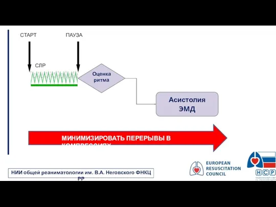 НИИ общей реаниматологии им. В.А. Неговского ФНКЦ РР