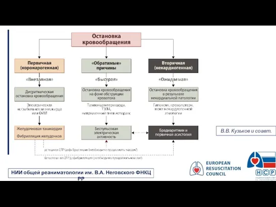 В.В. Кузьков и соавт. НИИ общей реаниматологии им. В.А. Неговского ФНКЦ РР
