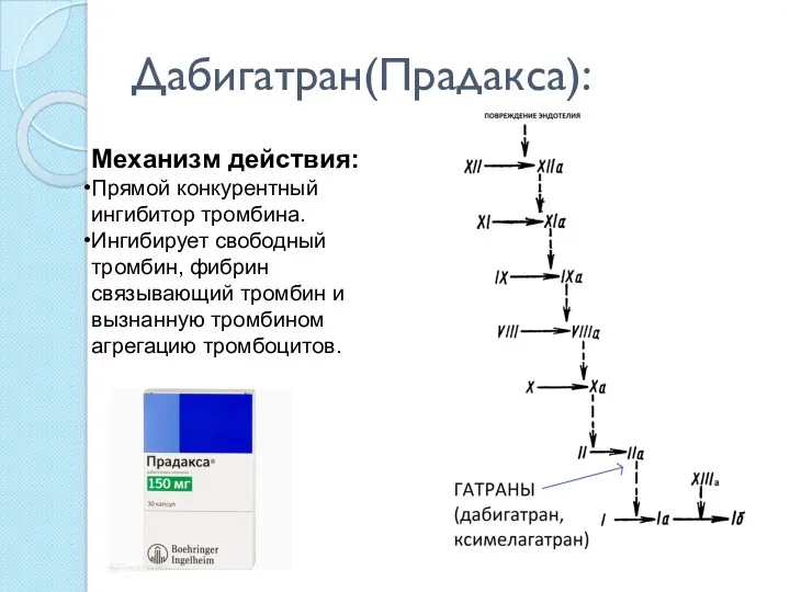 Дабигатран(Прадакса): Механизм действия: Прямой конкурентный ингибитор тромбина. Ингибирует свободный тромбин,
