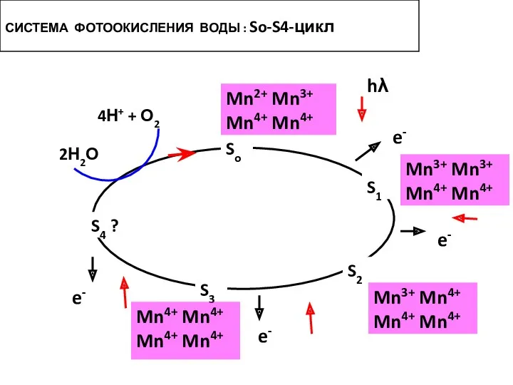 So Mn2+ Mn3+ Mn4+ Mn4+ S1 Mn3+ Mn3+ Mn4+ Mn4+