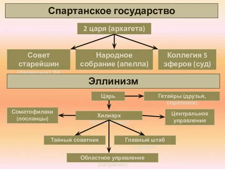 Спартанское государство Народное собрание (апелла) Совет старейшин (герусия) 28 Коллегия